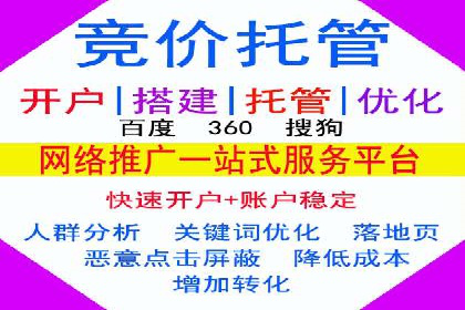 某企业通过SEO和SEM双管齐下实现业绩飞跃的案例