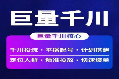 高效SEM托管服务：成功案例深度解析
